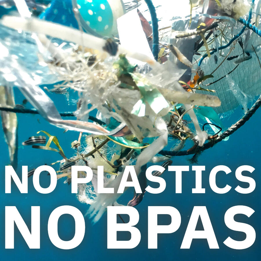 No Plastics No BPAs